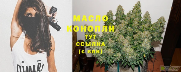 хмурый Верхний Тагил