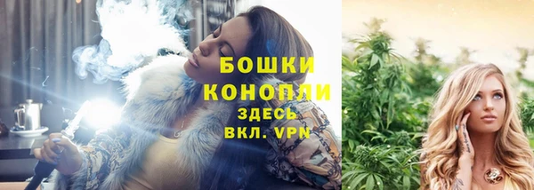 хмурый Верхний Тагил